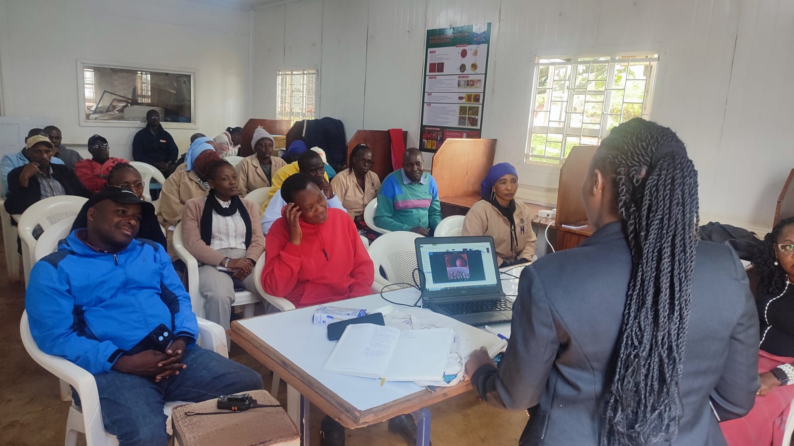 Research & Documentation